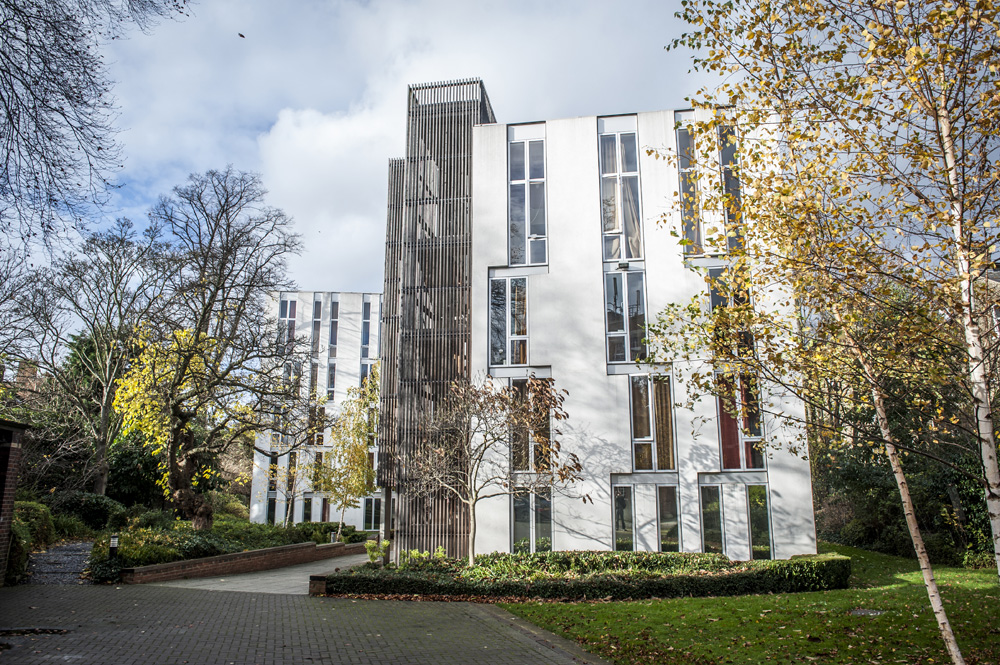 Sanctuary Students, Alliance House London SummerListings